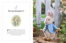 Load image into Gallery viewer, KNITTING PETER RABBIT (HB)