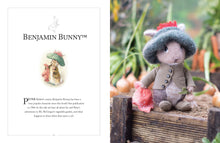 Load image into Gallery viewer, KNITTING PETER RABBIT (HB)