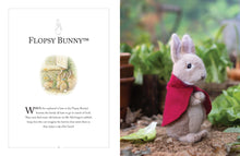 Load image into Gallery viewer, KNITTING PETER RABBIT (HB)