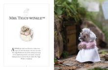 Load image into Gallery viewer, KNITTING PETER RABBIT (HB)