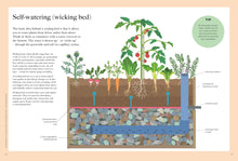 Load image into Gallery viewer, RHS GREENER GARDENING: CONTAINERS (HB)