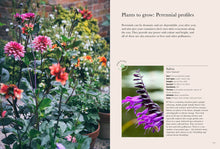 Load image into Gallery viewer, RHS GREENER GARDENING: CONTAINERS (HB)